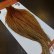 画像5: 【Whiting】ROOSTER CAPE Bronze Grade - BARRED DK GINGER No.2 (5)