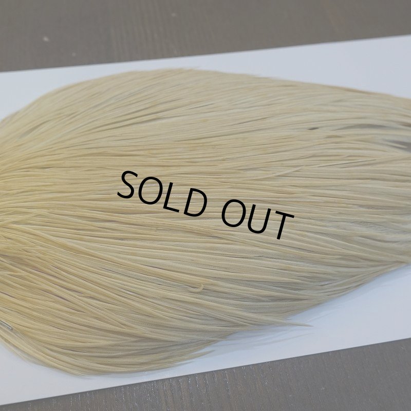 画像4: 【WHITING】ROOSTER Cape Bronze Grade - LightGinger No.3 (4)