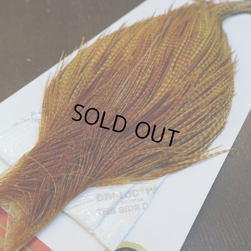 画像2: 【Whiting】ROOSTER CAPE Bronze Grade - BARRED DK GINGER No.2 (2)