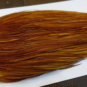 画像4: 【WHITING】ROOSTER Cape Pro Grade - Medium Ginger No.2