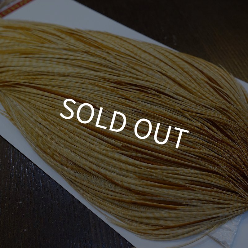 画像3: 【WHITING】ROOSTER Cape Pro Grade - Barred Medium Ginger No.2 (3)