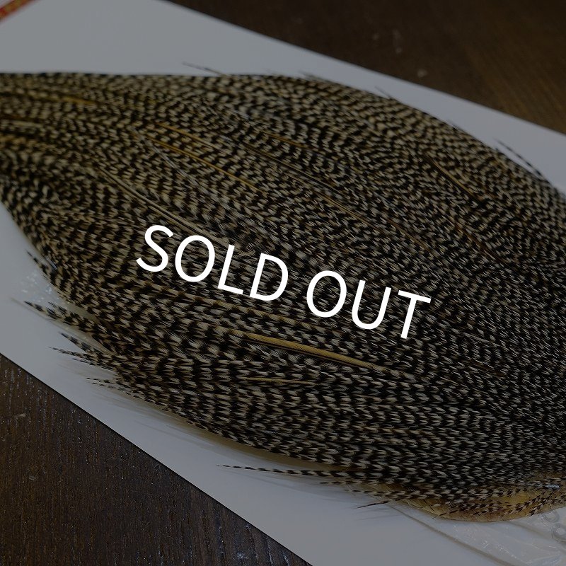 画像3: 【WHITING】ROOSTER Cape Pro Grade - Grizzly Variant No.2 (3)