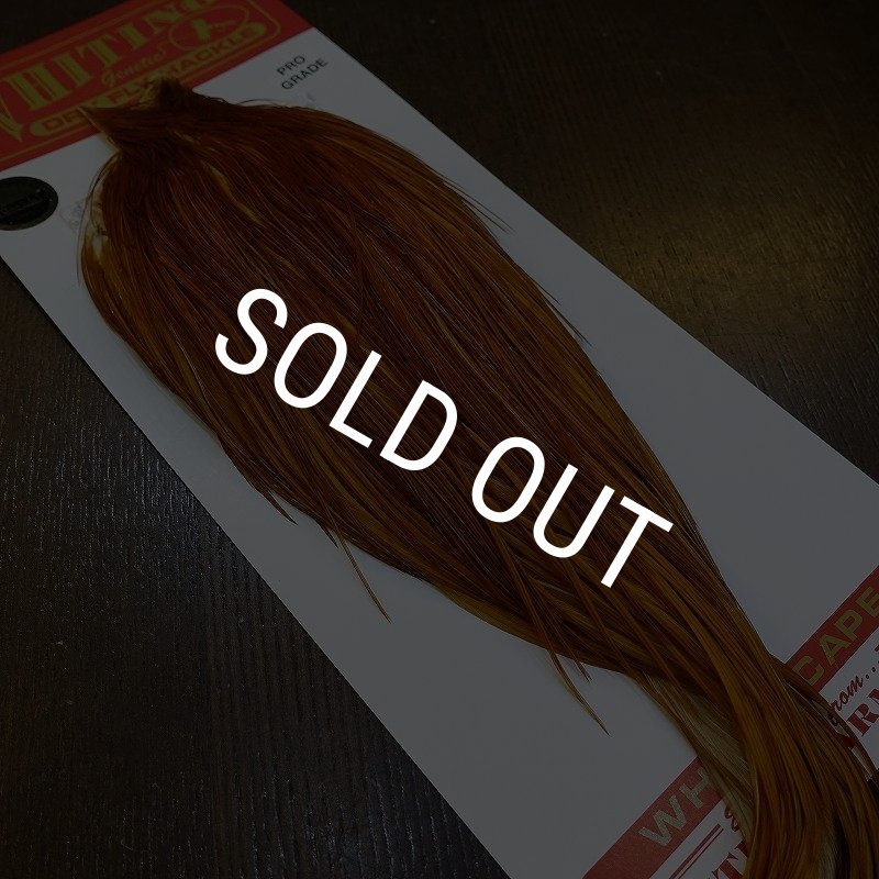 画像5: 【WHITING】ROOSTER Cape Pro Grade - Medium Ginger No.2 (5)