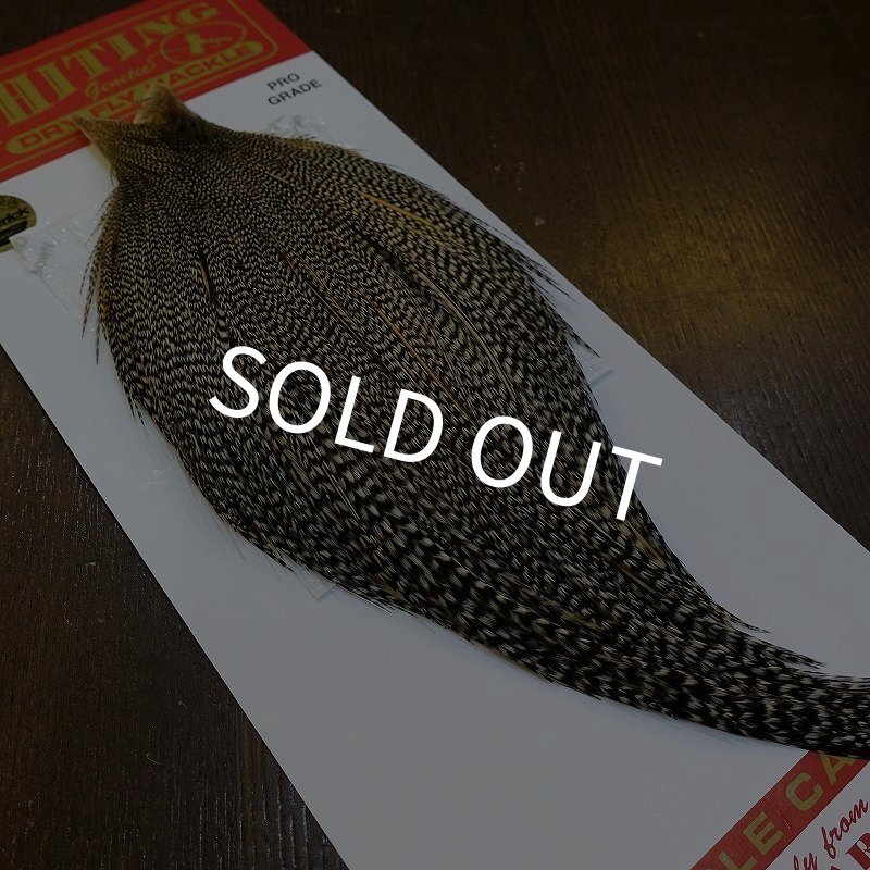 画像5: 【WHITING】ROOSTER Cape Pro Grade - Grizzly Variant No.2 (5)