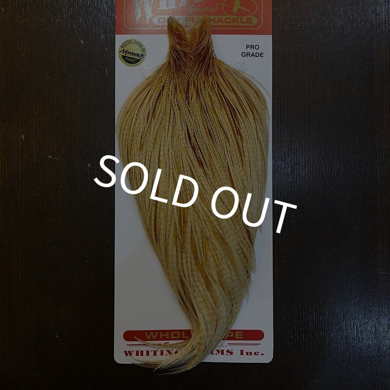 画像1: 【WHITING】ROOSTER Cape Pro Grade - Barred Medium Ginger No.2 (1)