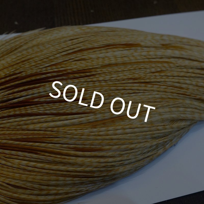 画像4: 【WHITING】ROOSTER Cape Pro Grade - Barred Medium Ginger No.3 (4)