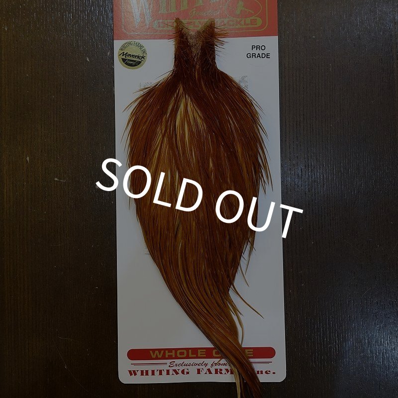 画像1: 【WHITING】ROOSTER Cape Pro Grade - Medium Ginger No.4 (1)