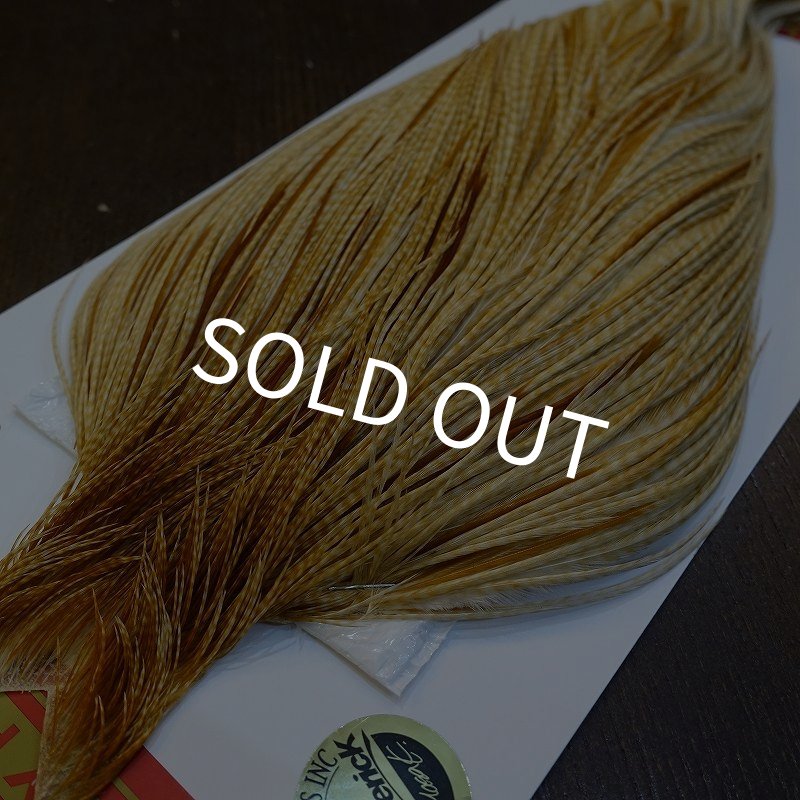 画像2: 【WHITING】ROOSTER Cape Pro Grade - Barred Medium Ginger No.2 (2)