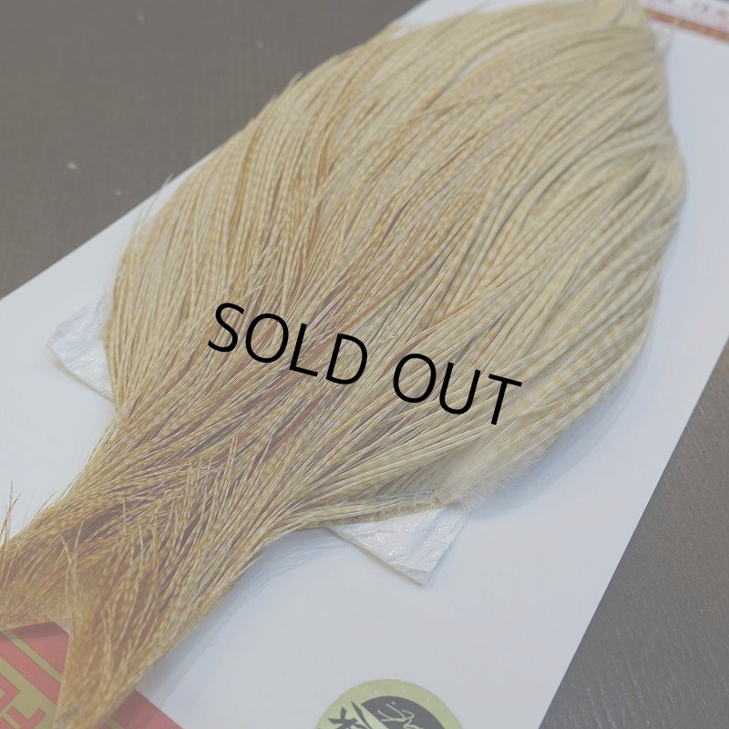 画像2: 【WHITING】ROOSTER Cape Pro Grade - Barred Medium Ginger No.1 (2)