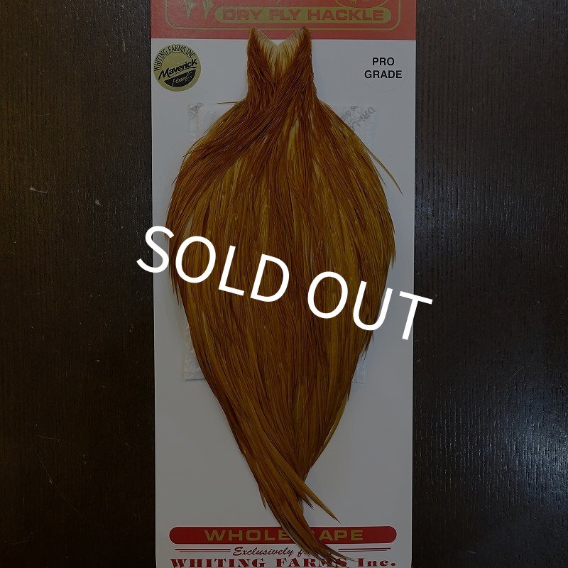画像1: 【WHITING】ROOSTER Cape Pro Grade - Medium Ginger No.1 (1)