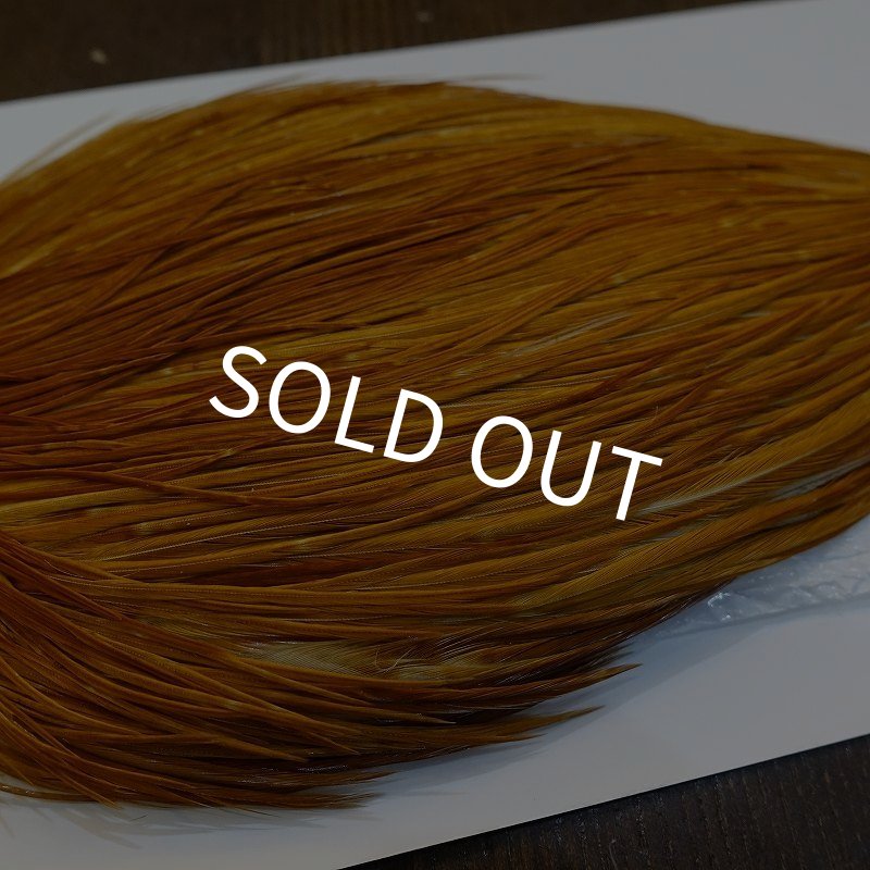 画像4: 【WHITING】ROOSTER Cape Pro Grade - Medium Ginger No.1 (4)