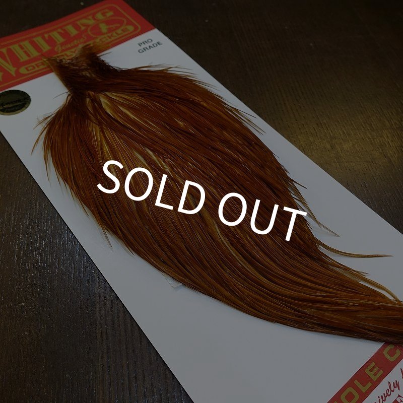 画像5: 【WHITING】ROOSTER Cape Pro Grade - Medium Ginger No.4 (5)