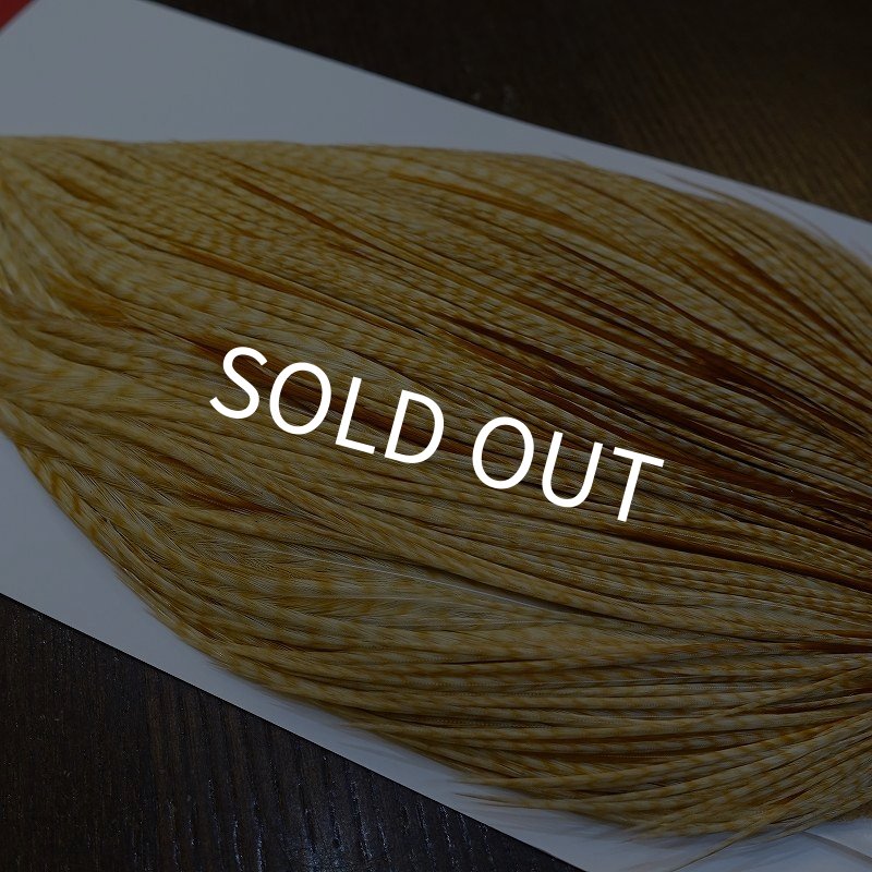 画像3: 【WHITING】ROOSTER Cape Pro Grade - Barred Medium Ginger No.3 (3)