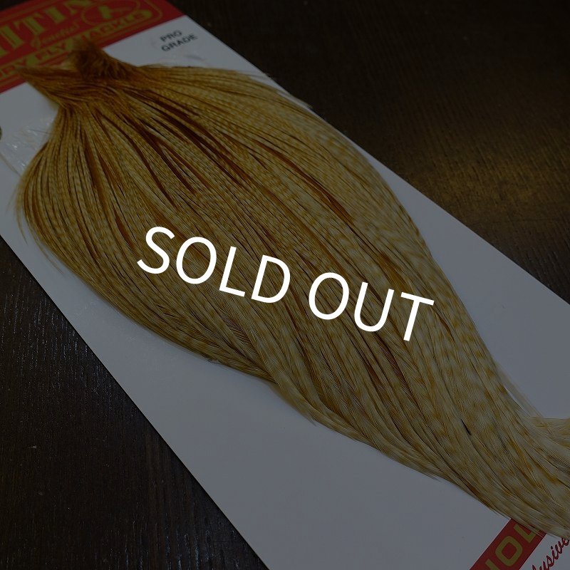 画像5: 【WHITING】ROOSTER Cape Pro Grade - Barred Medium Ginger No.3 (5)