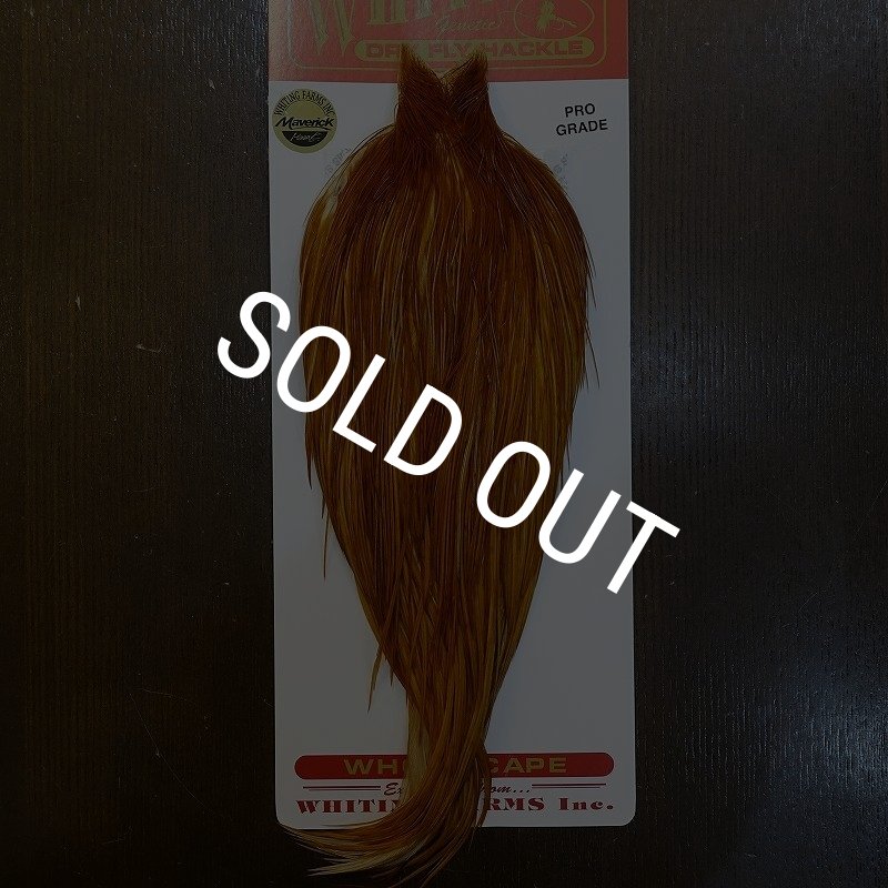 画像1: 【WHITING】ROOSTER Cape Pro Grade - Medium Ginger No.2 (1)