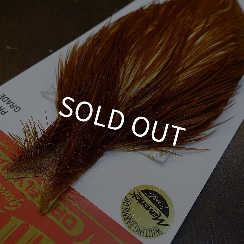 画像2: 【WHITING】ROOSTER Cape Pro Grade - Medium Ginger No.4 (2)
