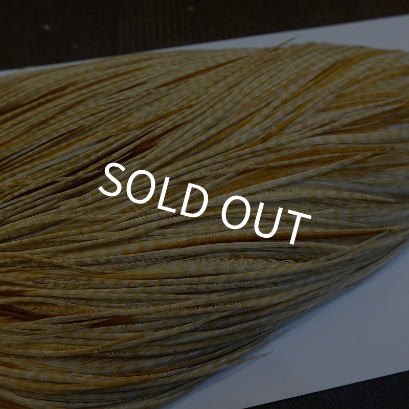 画像4: 【WHITING】ROOSTER Cape Pro Grade - Barred Medium Ginger No.2 (4)