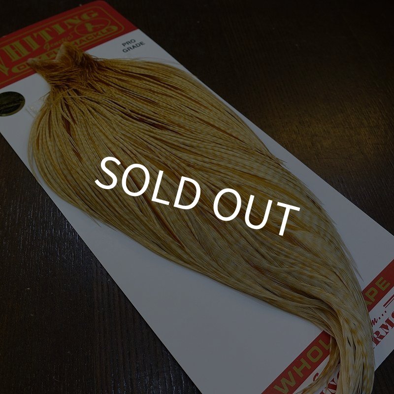 画像5: 【WHITING】ROOSTER Cape Pro Grade - Barred Medium Ginger No.2 (5)