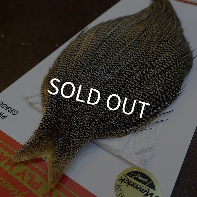 画像2: 【WHITING】ROOSTER Cape Pro Grade - Grizzly Variant No.2 (2)