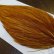 画像3: 【WHITING】ROOSTER Cape Pro Grade - Medium Ginger No.1 (3)