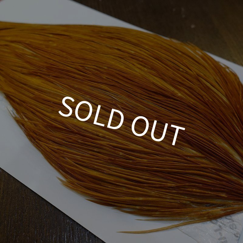 画像3: 【WHITING】ROOSTER Cape Pro Grade - Medium Ginger No.1 (3)