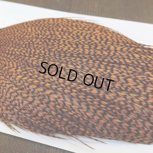 画像5: 【WHITING】High & Dry ROOSTER Cape - Dyed Grizzly Burnt Orange