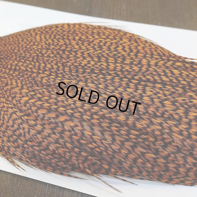 画像5: 【WHITING】High & Dry ROOSTER Cape - Dyed Grizzly Burnt Orange (5)