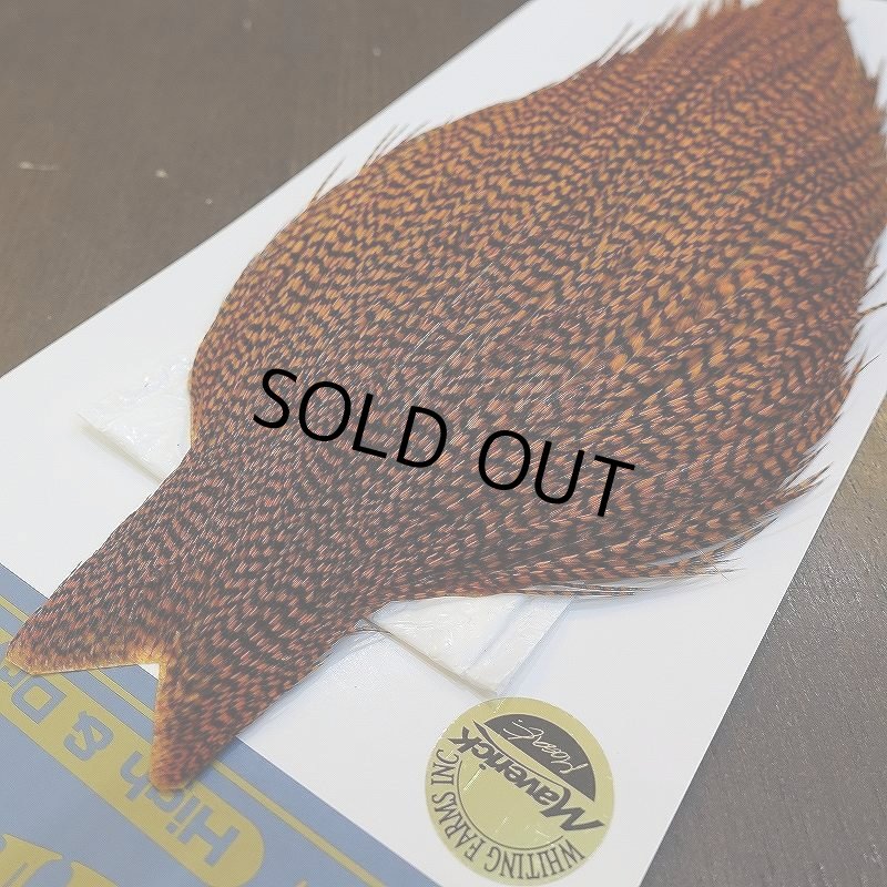 画像2: 【WHITING】High & Dry ROOSTER Cape - Dyed Grizzly Burnt Orange (2)