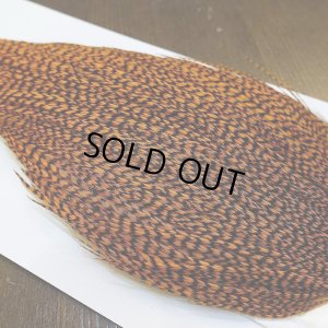 画像3: 【WHITING】High & Dry ROOSTER Cape - Dyed Grizzly Burnt Orange