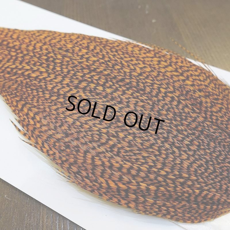 画像3: 【WHITING】High & Dry ROOSTER Cape - Dyed Grizzly Burnt Orange (3)