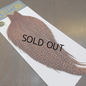 画像6: 【WHITING】High & Dry ROOSTER Cape - Dyed Grizzly Burnt Orange