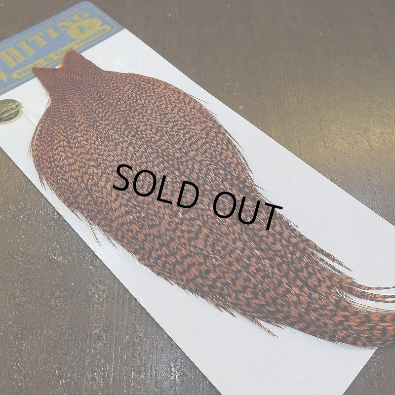 画像6: 【WHITING】High & Dry ROOSTER Cape - Dyed Grizzly Burnt Orange (6)