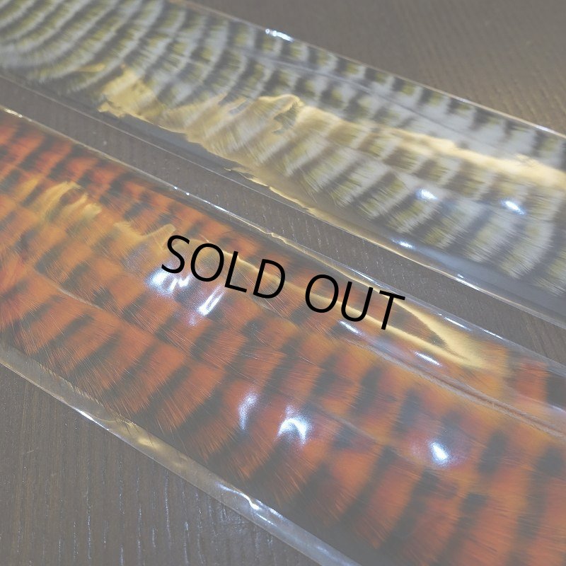 画像2: 【CANAL】ゼブラ・ゾンカー トリコロール 2.5mm (2)