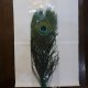 【CANAL】PEACOCK EYE - DYED GREEN