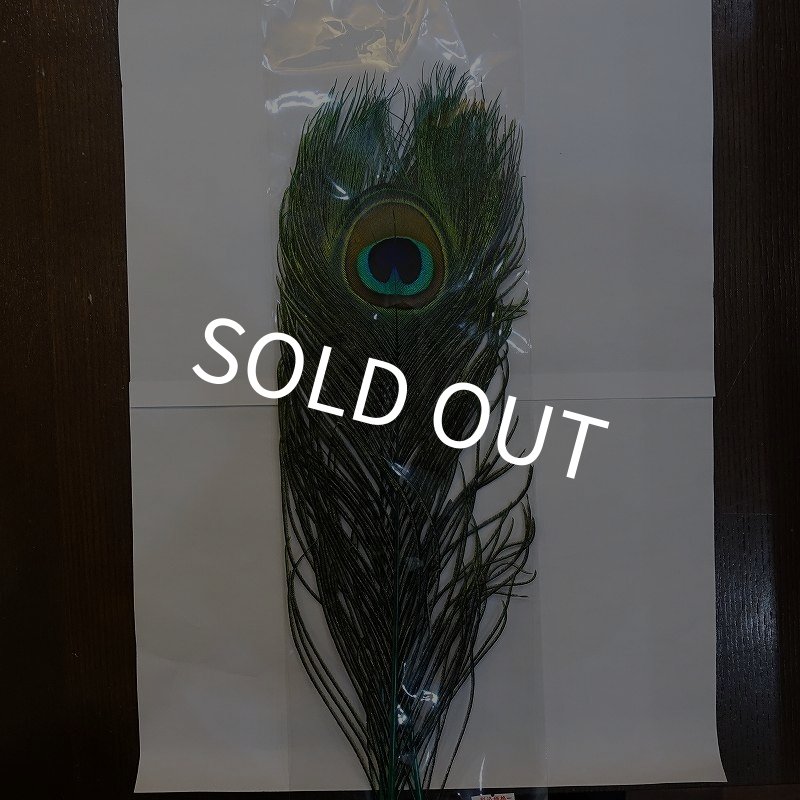 画像1: 【CANAL】PEACOCK EYE - DYED GREEN (1)