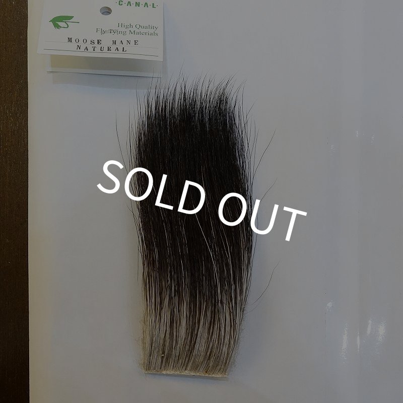 画像1: 【CANAL】MOOSE MANE (1)