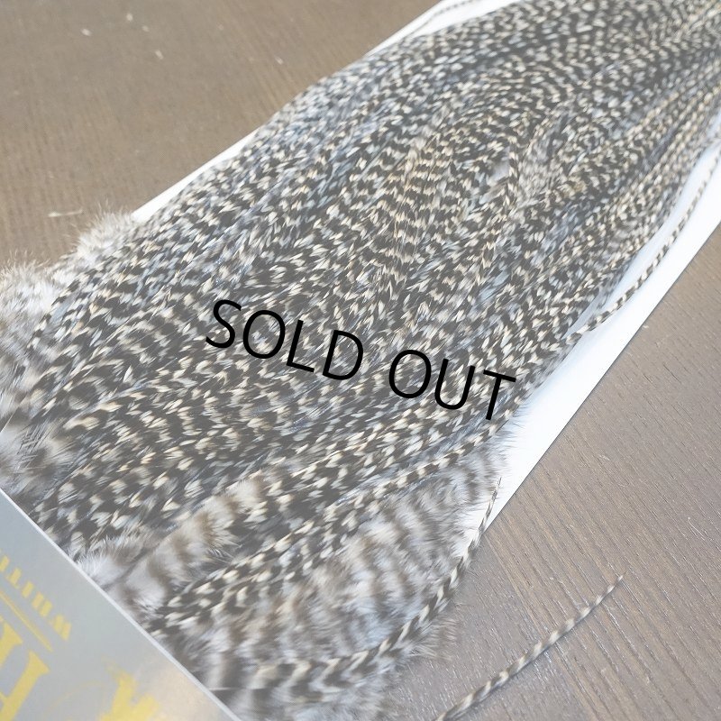 画像4: 【WHITING】High & Dry ROOSTER SADDLE - GRIZZLY #16 (4)