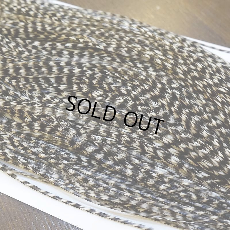 画像3: 【WHITING】High & Dry ROOSTER SADDLE - GRIZZLY #16 (3)