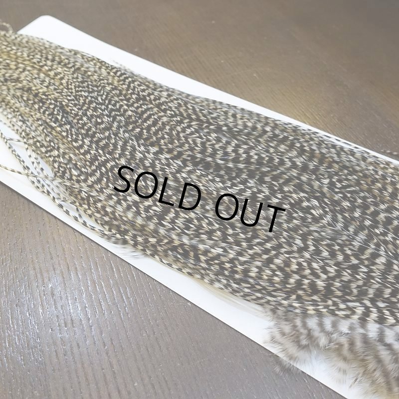 画像5: 【WHITING】High & Dry ROOSTER SADDLE - GRIZZLY #16 (5)