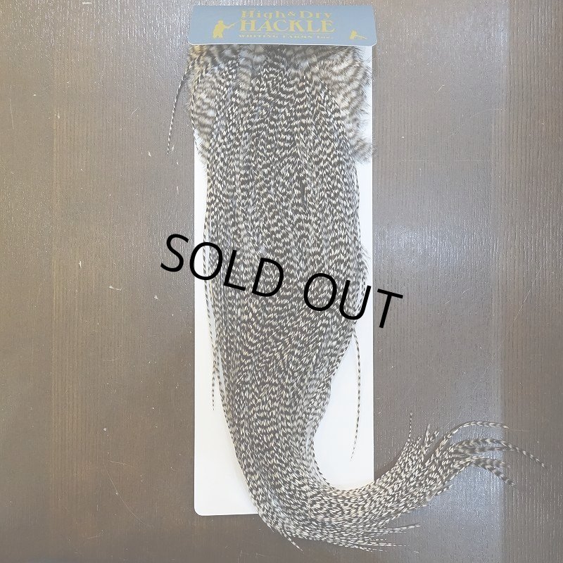 画像1: 【WHITING】High & Dry ROOSTER SADDLE - GRIZZLY #16 (1)