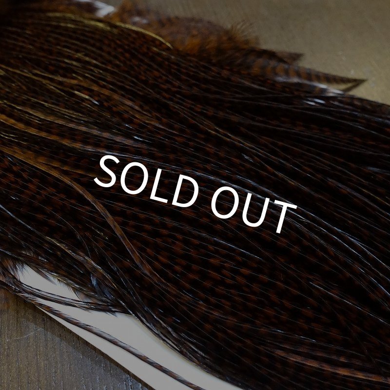 画像3: 【WHITING】High & Dry ROOSTER SADDLE - GRIZZLY/COACHMAN BROWN #16 (3)