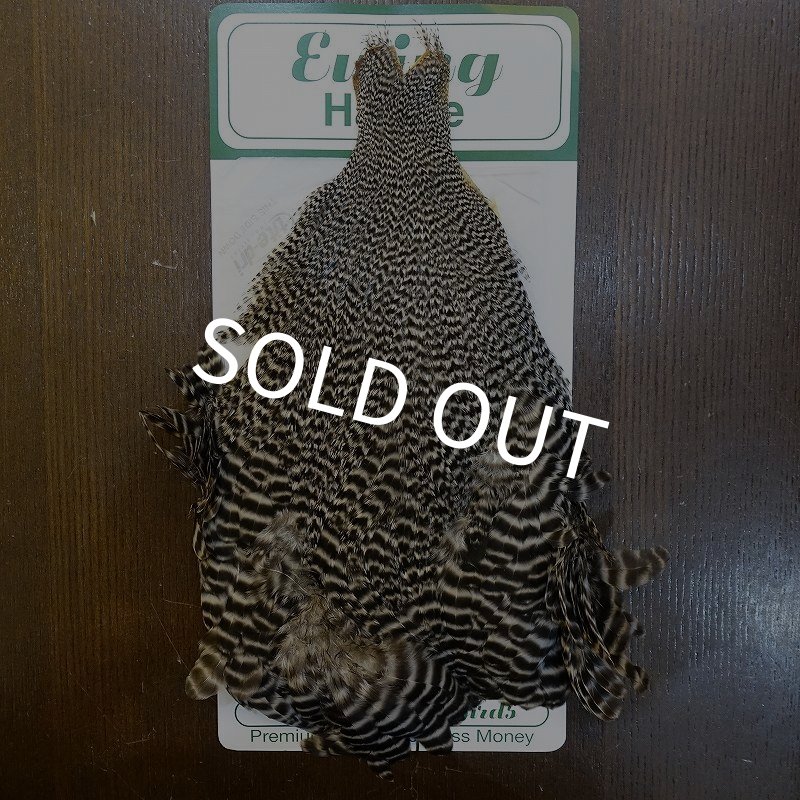 画像1: 【Ewing】Hen Hackle Cape No.1 Grade - Grizzly (1)