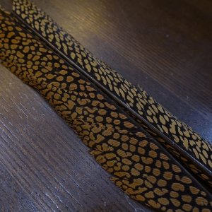 画像2: 【ANGLE】Golden Pheasant Tail Sサイズ