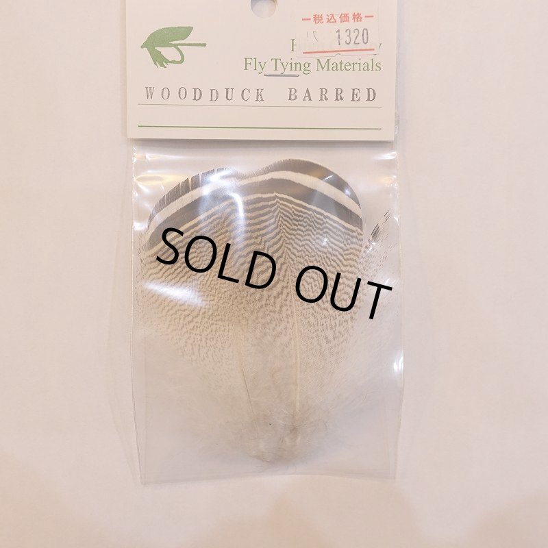 画像1: 【CANAL】WOODDUCK BARRED (1)