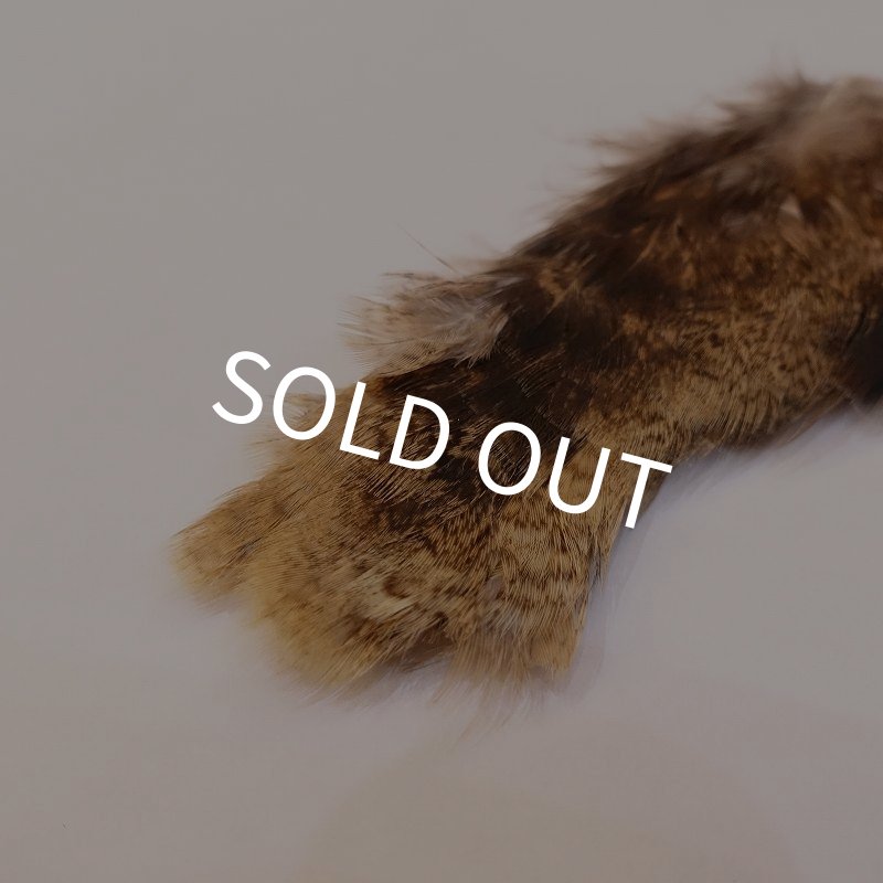 画像3: 【CANAL】PEACOCK LEG (3)