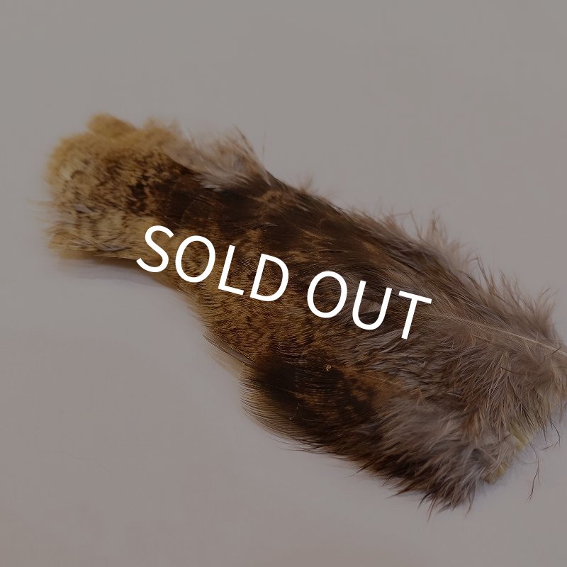 画像2: 【CANAL】PEACOCK LEG (2)