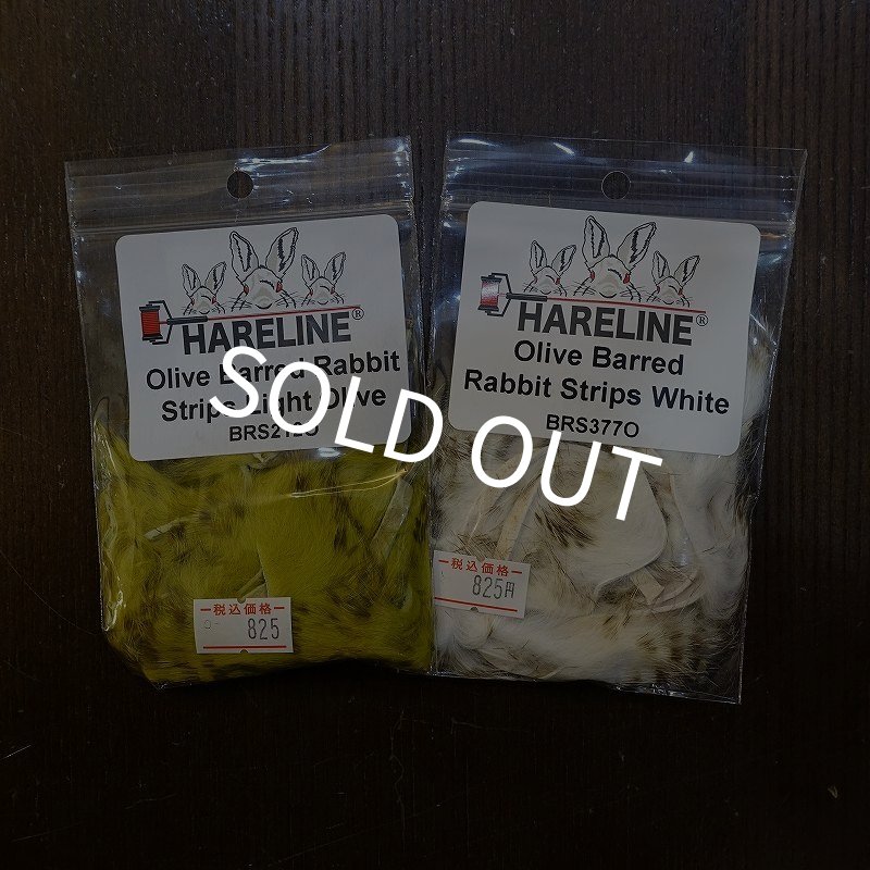 画像1: 【HARELINE】Olive Barred Rabbit Strips 1/8" (1)