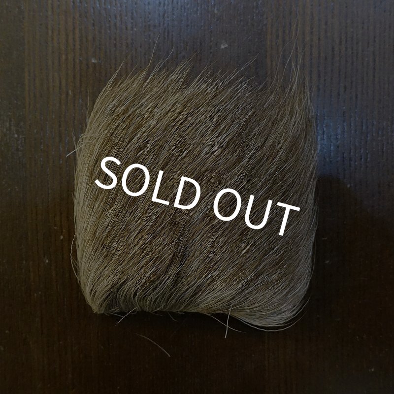 画像2: 【SWISSCDC】レィンディア(トナカイ) (2)