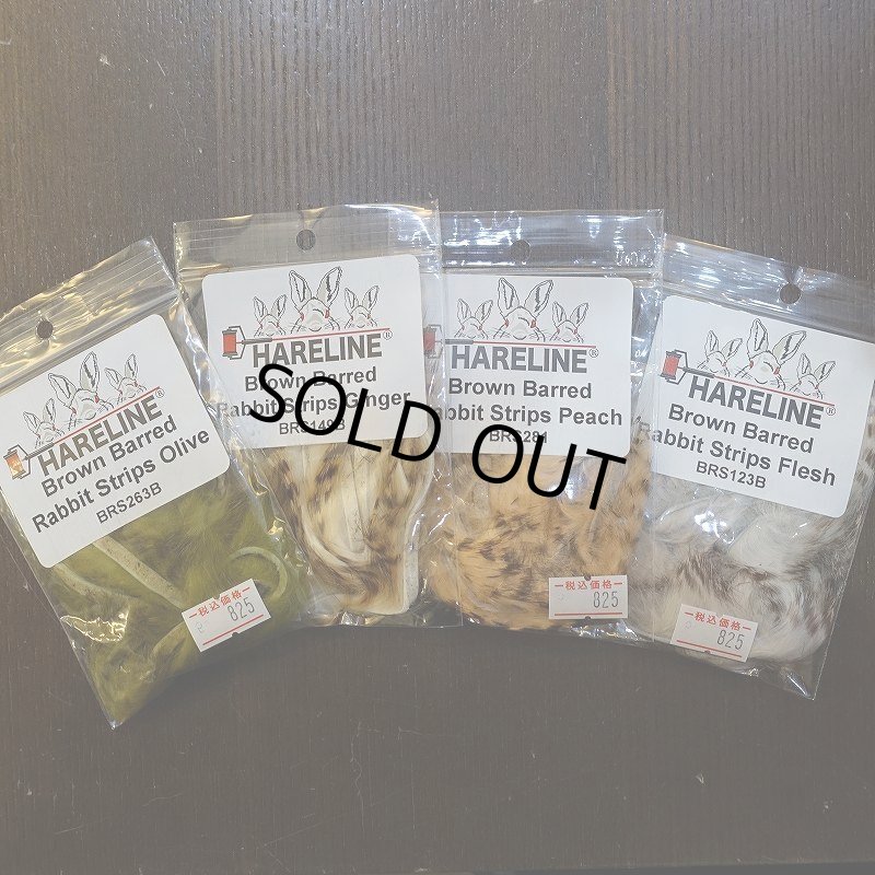 画像1: 【HARELINE】Brown Barred Rabbit Strips 1/8" (1)