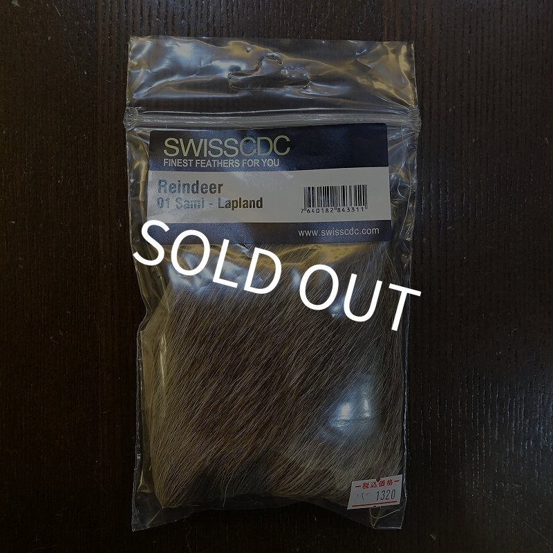 画像1: 【SWISSCDC】レィンディア(トナカイ) (1)